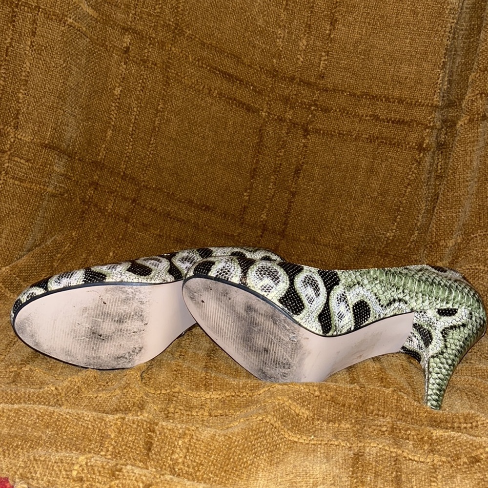 Reptile - Picture 5 of 5